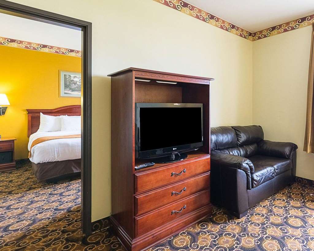 Comfort Suites Near Texas Medical Center - Nrg Stadium Houston Room photo